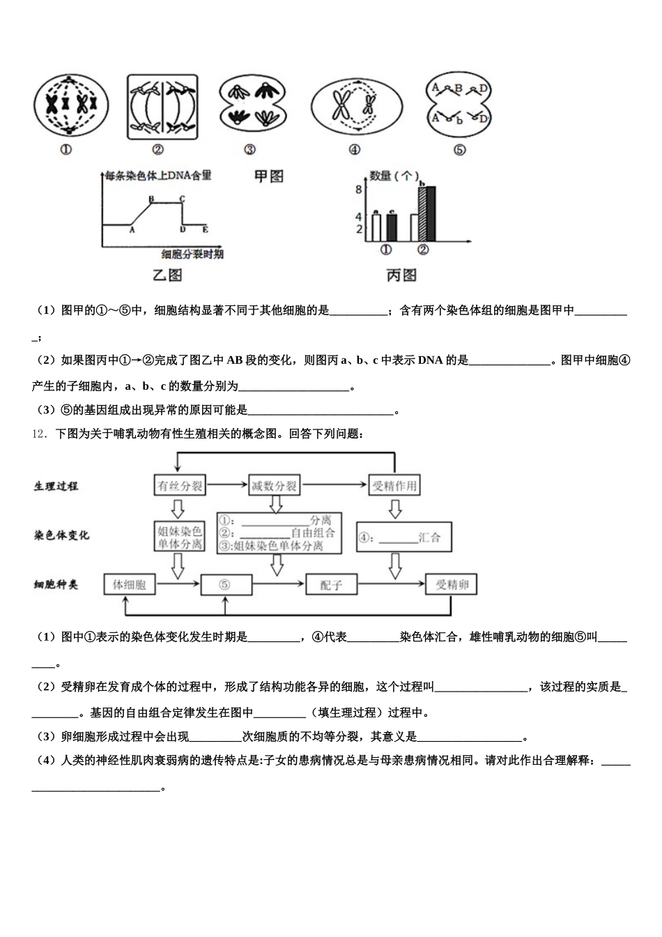河北省沧州市黄骅中学2024-2025学年生物高一第二学期期末教学质量检测试题含解析_第3页