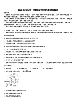 2025届河北省高一生物第二学期期末质量检测试题含解析
