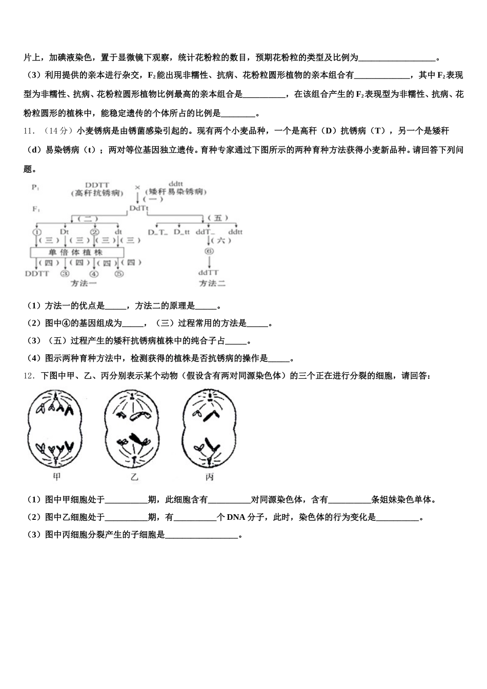 衡水市第二中学2025届生物高一下期末考试试题含解析_第3页