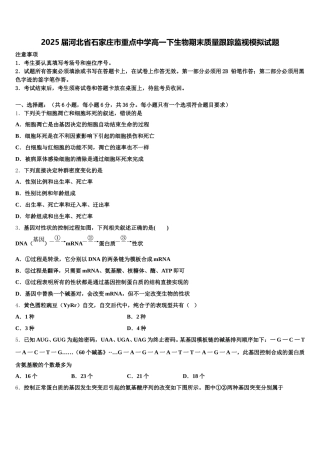 2025届河北省石家庄市重点中学高一下生物期末质量跟踪监视模拟试题含解析
