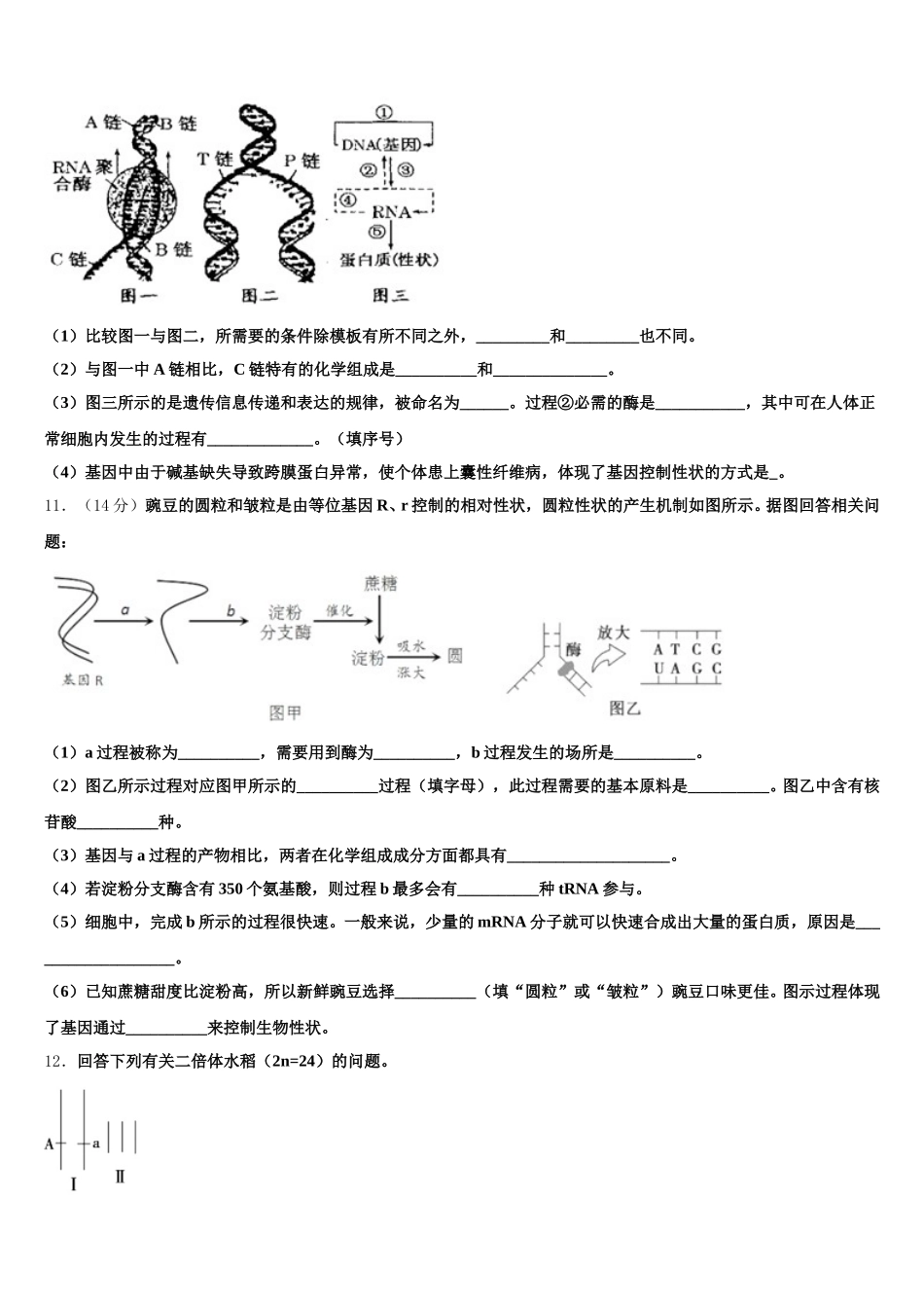 河北省滦南县2024-2025学年高一下生物期末达标检测模拟试题含解析_第3页
