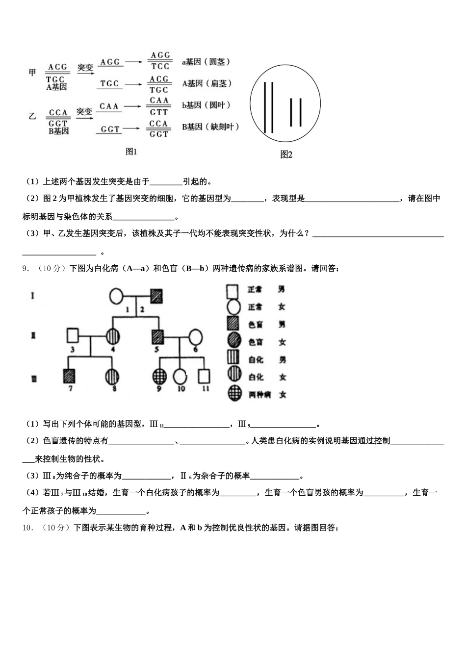 2025年河北省邢台巿南和一中高一下生物期末调研试题含解析_第3页