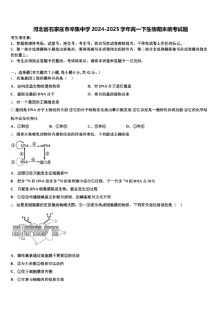 河北省石家庄市辛集中学2024-2025学年高一下生物期末统考试题含解析