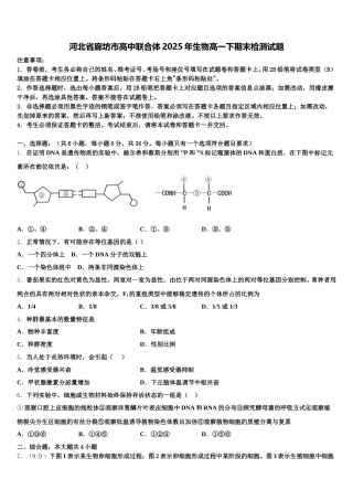 河北省廊坊市高中联合体2025年生物高一下期末检测试题含解析