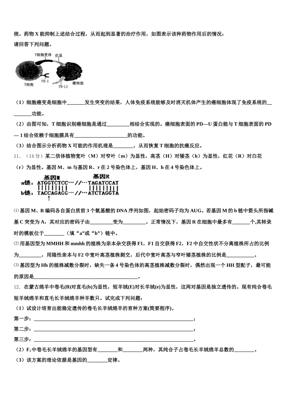 河北省衡水市中学·2024-2025学年高一生物第二学期期末复习检测模拟试题含解析_第3页