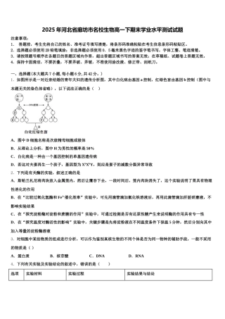 2025年河北省廊坊市名校生物高一下期末学业水平测试试题含解析