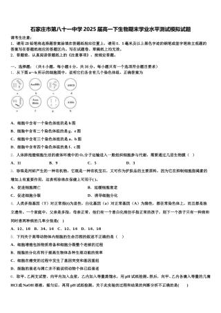 石家庄市第八十一中学2025届高一下生物期末学业水平测试模拟试题含解析