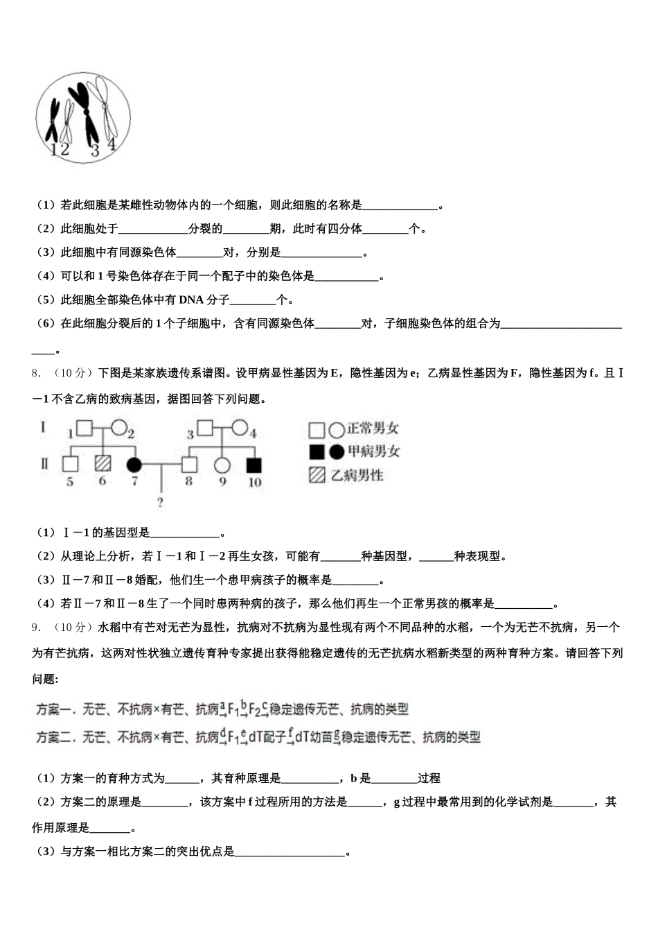 邯郸市第一中学2025届高一下生物期末达标检测试题含解析_第2页