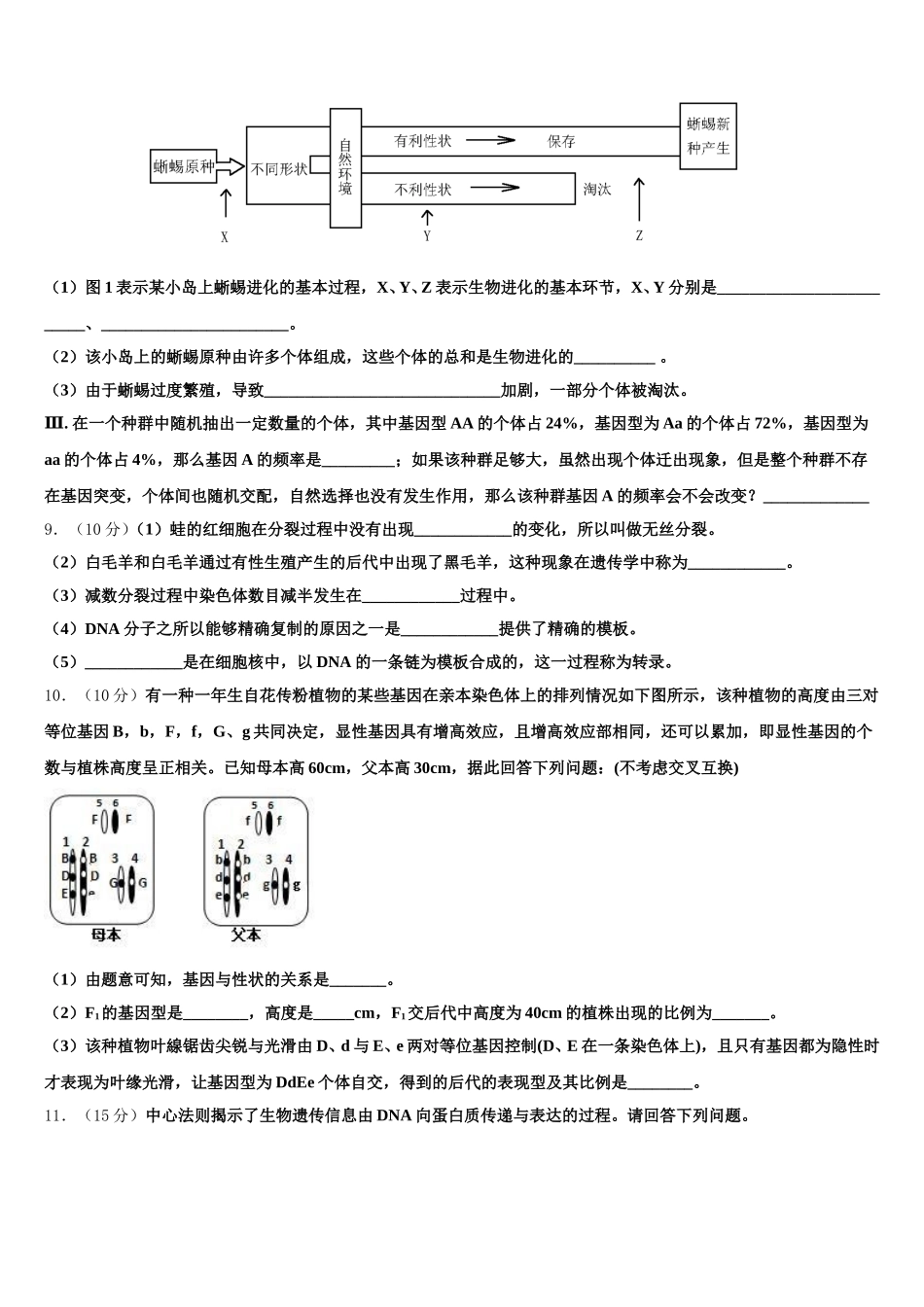 2025年河北省石家庄市第一中学生物高一第二学期期末质量跟踪监视模拟试题含解析_第3页