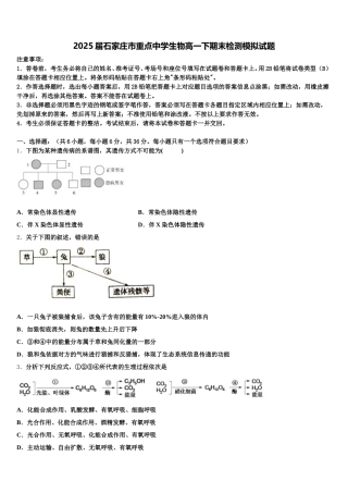 2025届石家庄市重点中学生物高一下期末检测模拟试题含解析