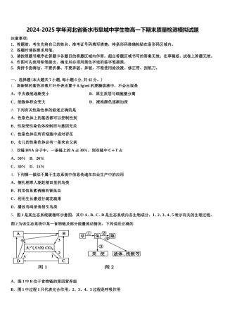 2024-2025学年河北省衡水市阜城中学生物高一下期末质量检测模拟试题含解析