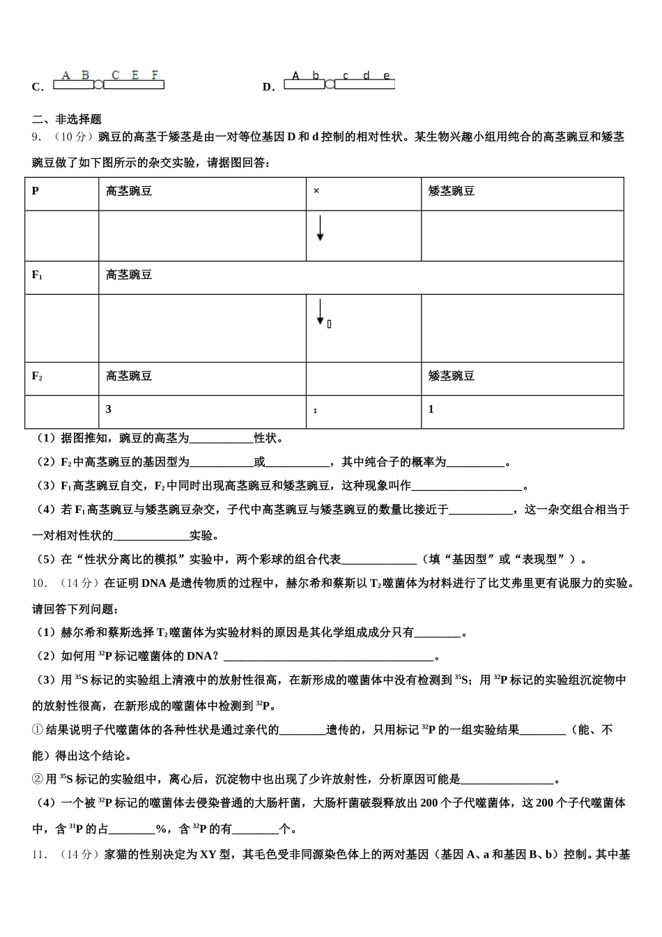 河北省承德市第八中学2025年生物高一下期末达标测试试题含解析_第3页