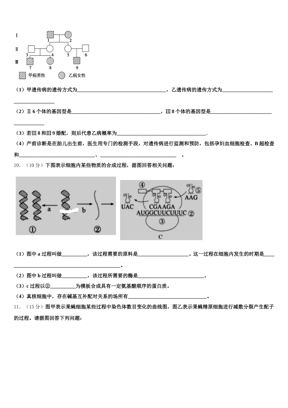 2025年河北邢台市生物高一下期末统考模拟试题含解析_第3页