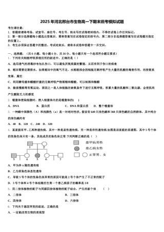 2025年河北邢台市生物高一下期末统考模拟试题含解析