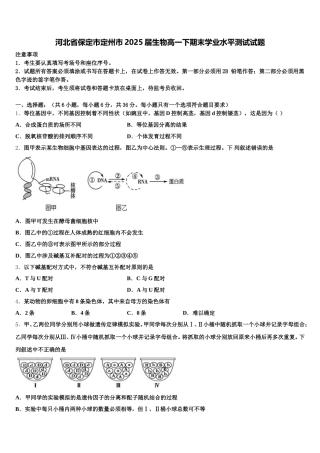 河北省保定市定州市2025届生物高一下期末学业水平测试试题含解析