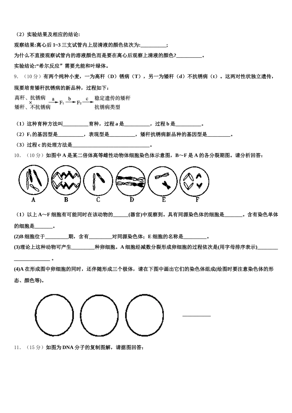 河北省石家庄市普通高中2025届高一生物第二学期期末达标检测试题含解析_第3页