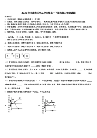 2025年河北省乐亭二中生物高一下期末复习检测试题含解析