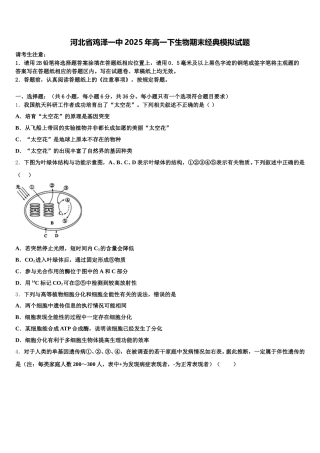 河北省鸡泽一中2025年高一下生物期末经典模拟试题含解析