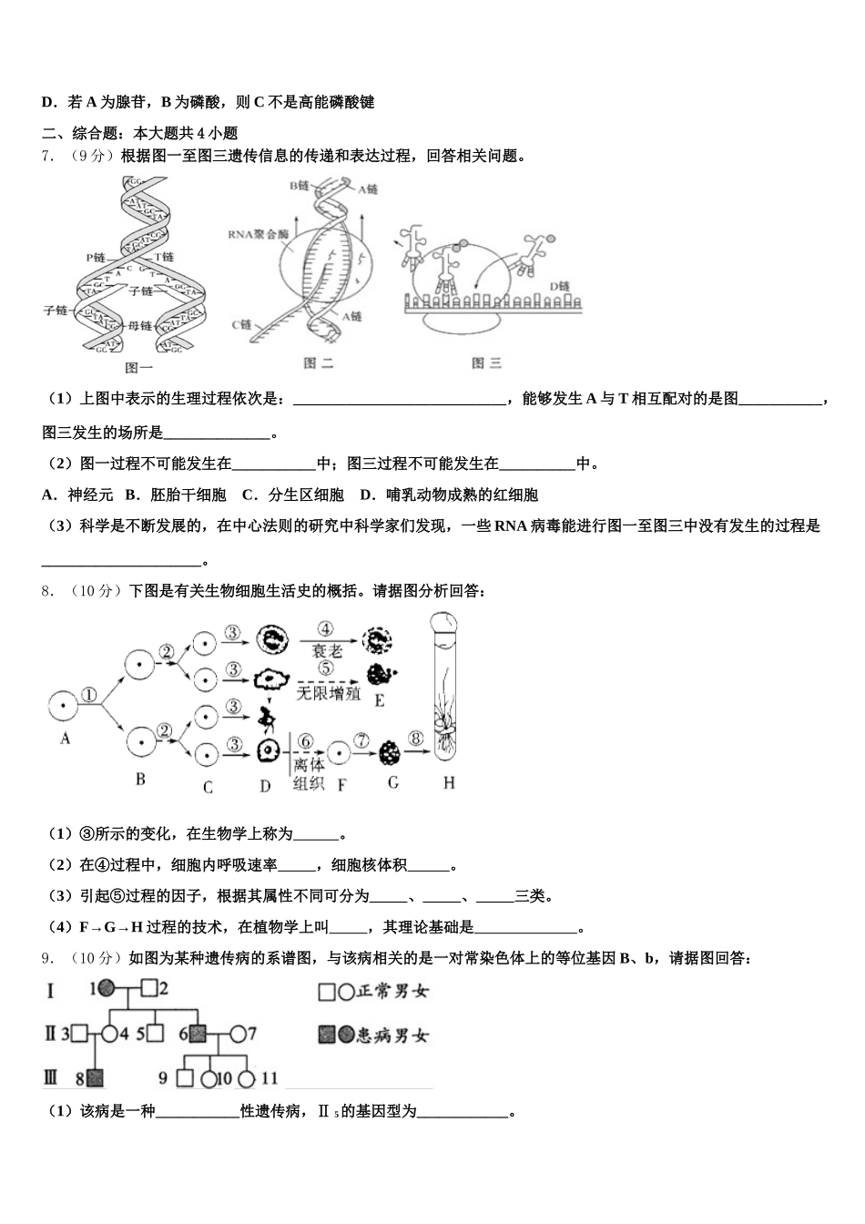 河北省巨鹿县二中2025年生物高一下期末联考模拟试题含解析_第2页