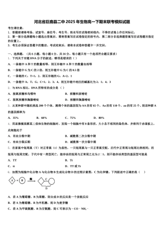 河北省巨鹿县二中2025年生物高一下期末联考模拟试题含解析