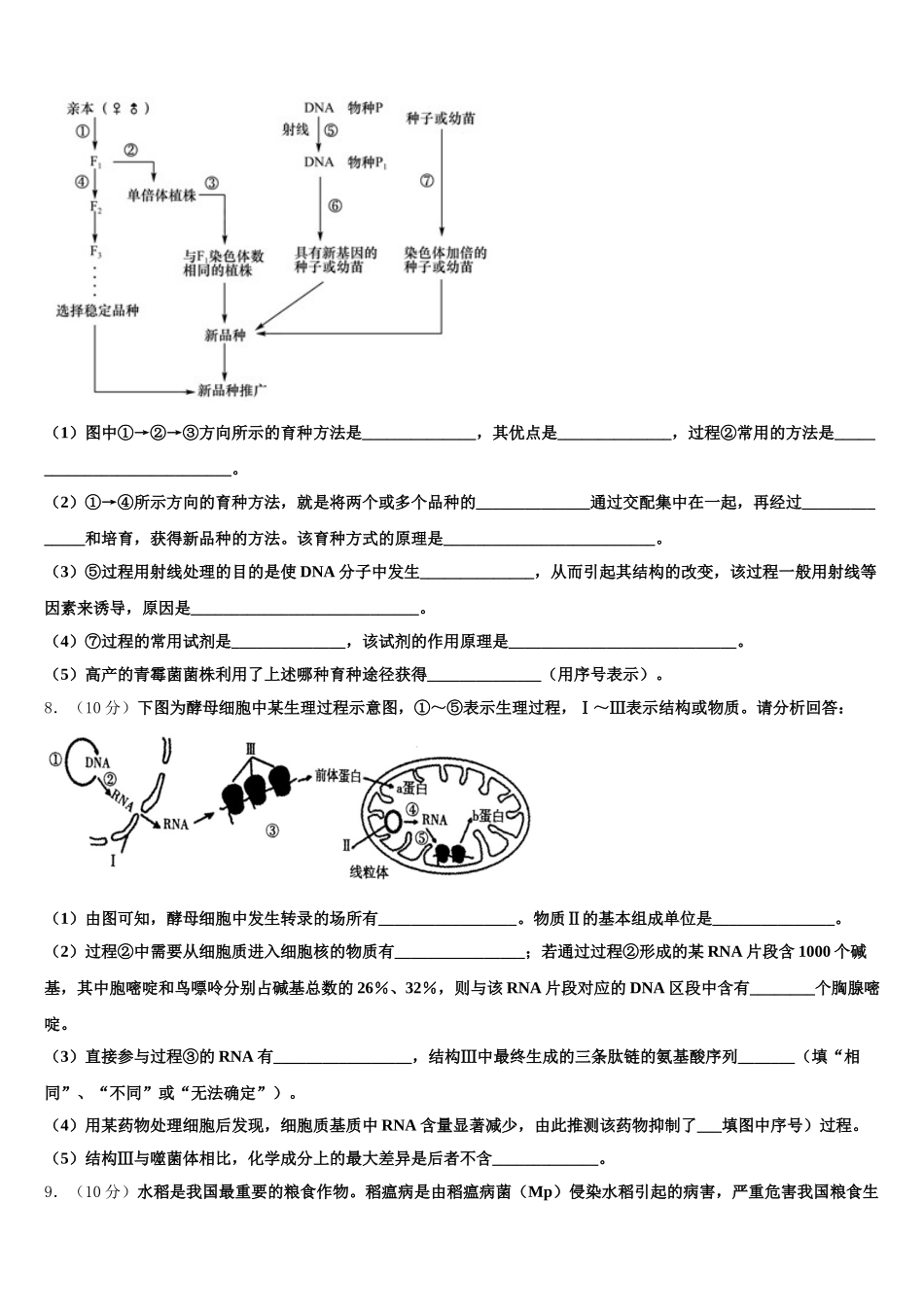2025年河北省正定县第一中学生物高一第二学期期末学业质量监测试题含解析_第3页