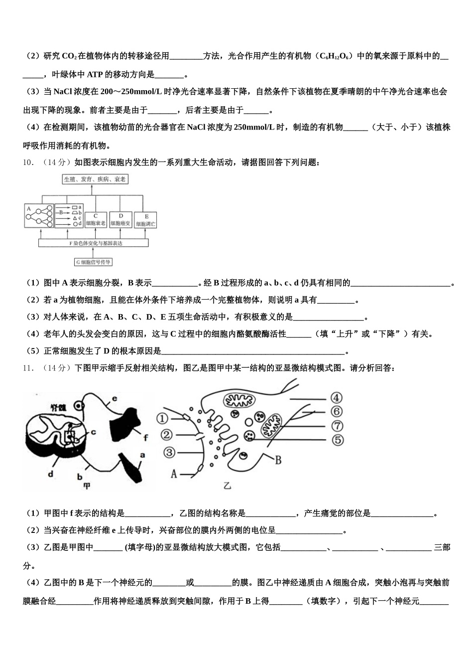 河北省邯郸市成安县第一中学2025届高一生物第二学期期末预测试题含解析_第3页