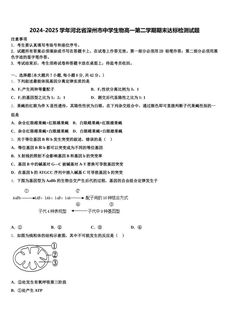 2024-2025学年河北省深州市中学生物高一第二学期期末达标检测试题含解析_第1页