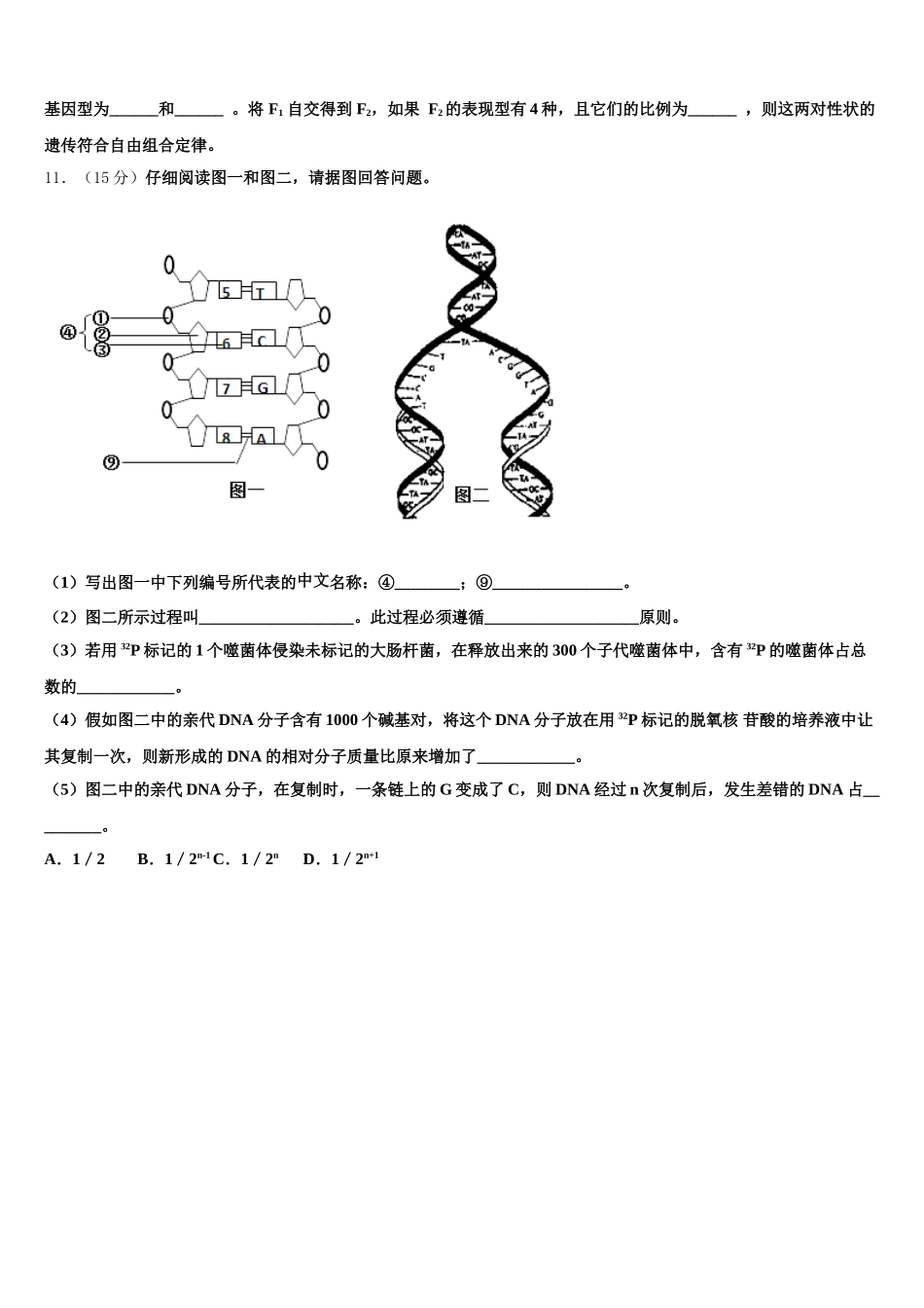 河北省定州市定州中学2025届高一下生物期末调研模拟试题含解析_第3页