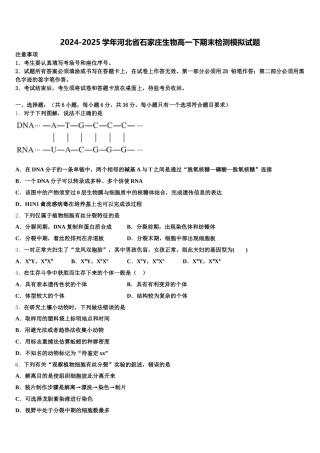 2024-2025学年河北省石家庄生物高一下期末检测模拟试题含解析
