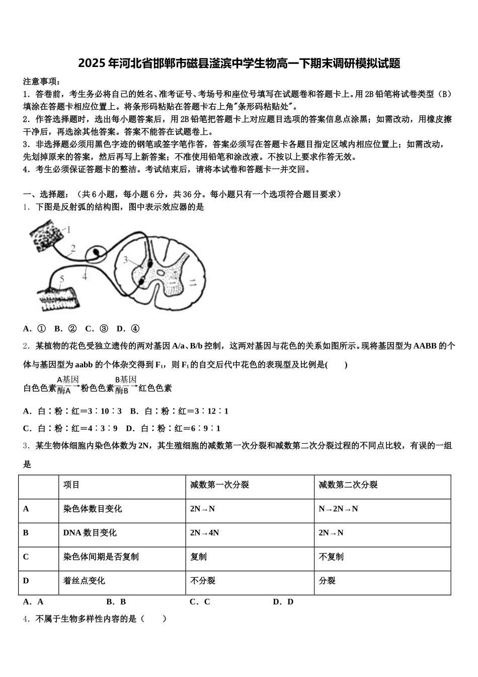 2025年河北省邯郸市磁县滏滨中学生物高一下期末调研模拟试题含解析_第1页