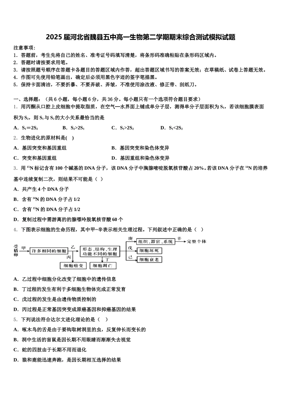 2025届河北省魏县五中高一生物第二学期期末综合测试模拟试题含解析_第1页