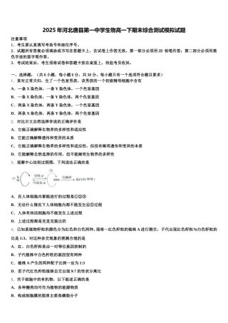 2025年河北唐县第一中学生物高一下期末综合测试模拟试题含解析
