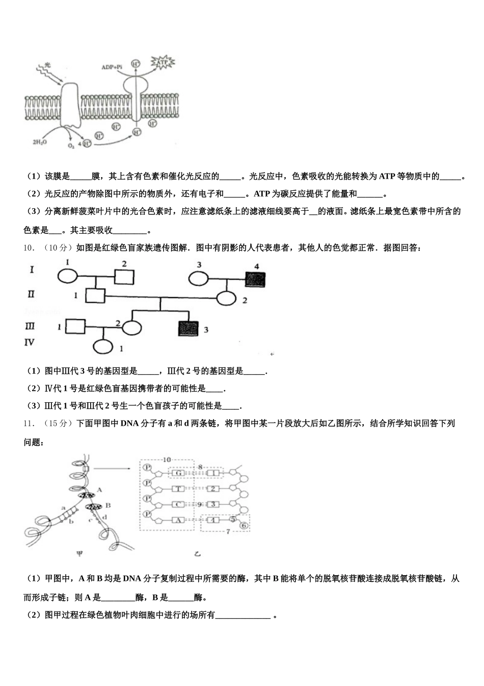 2025年河北省邯郸市大名县第一中学高一生物第二学期期末复习检测模拟试题含解析_第3页