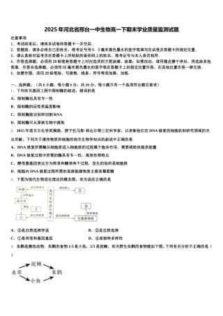 2025年河北省邢台一中生物高一下期末学业质量监测试题含解析