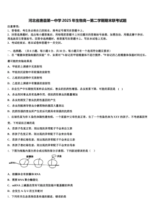 河北省唐县第一中学2025年生物高一第二学期期末联考试题含解析