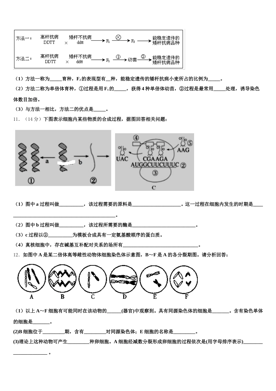 2025年河北省唐山一中生物高一第二学期期末检测模拟试题含解析_第3页