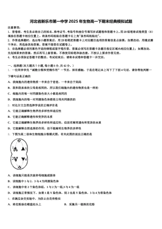 河北省新乐市第一中学2025年生物高一下期末经典模拟试题含解析