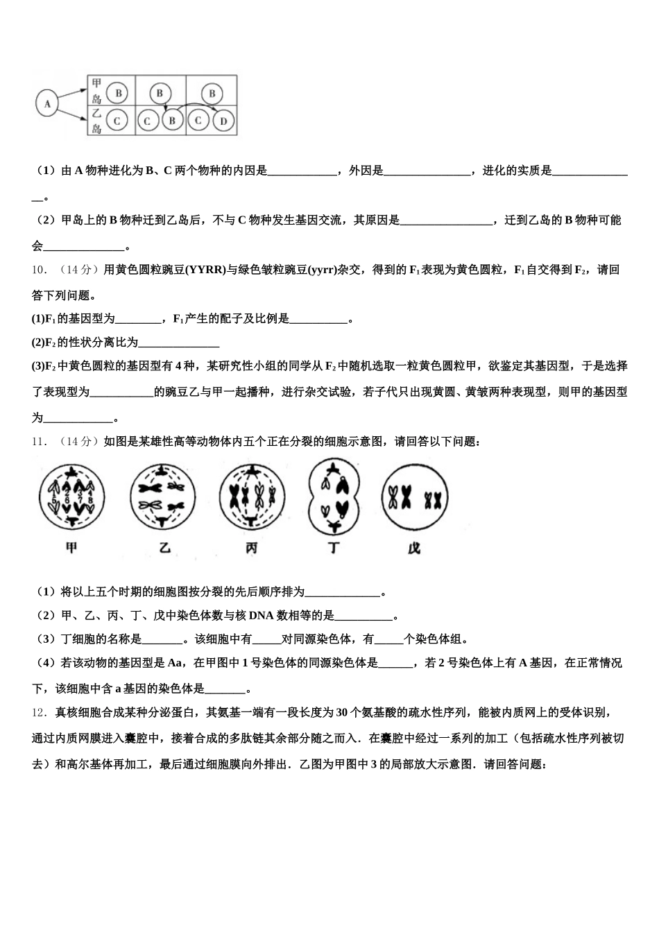 2025年河北省衡水市重点名校高一下生物期末调研试题含解析_第3页