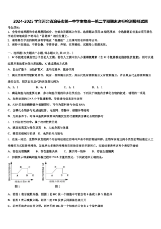 2024-2025学年河北省泊头市第一中学生物高一第二学期期末达标检测模拟试题含解析