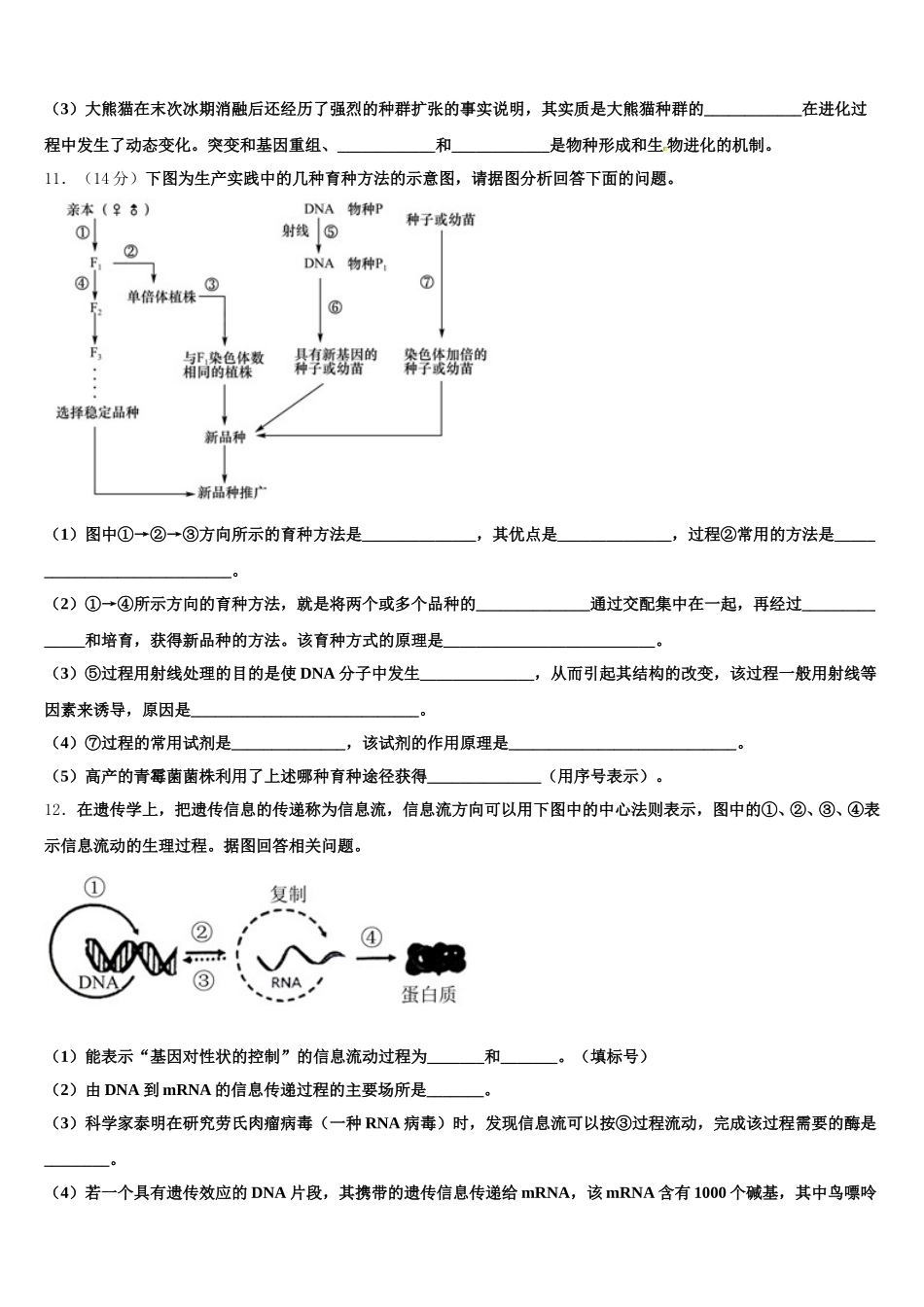 2025届河北省石家庄市河正定中学生物高一下期末学业水平测试试题含解析_第3页