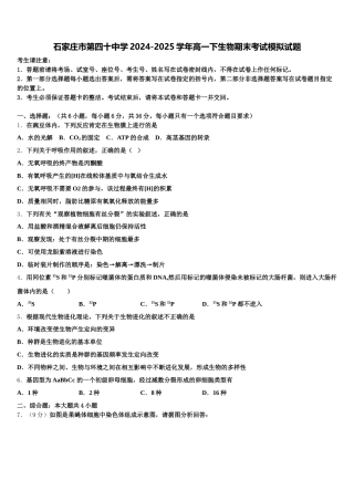 石家庄市第四十中学2024-2025学年高一下生物期末考试模拟试题含解析