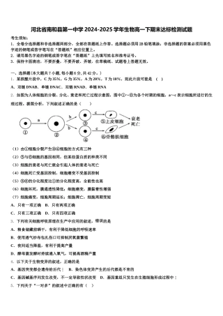 河北省南和县第一中学2024-2025学年生物高一下期末达标检测试题含解析