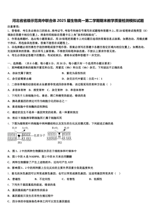 河北省省级示范高中联合体2025届生物高一第二学期期末教学质量检测模拟试题含解析
