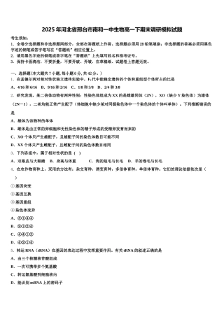2025年河北省邢台市南和一中生物高一下期末调研模拟试题含解析