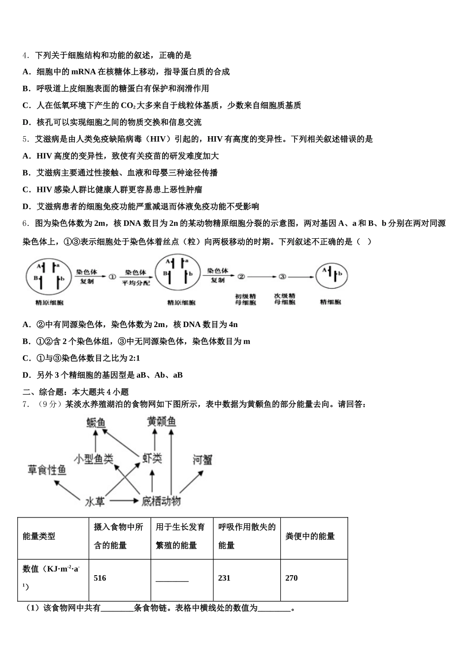 2025年河北正定弘文中学生物高一下期末调研试题含解析_第2页