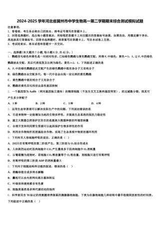 2024-2025学年河北省冀州市中学生物高一第二学期期末综合测试模拟试题含解析