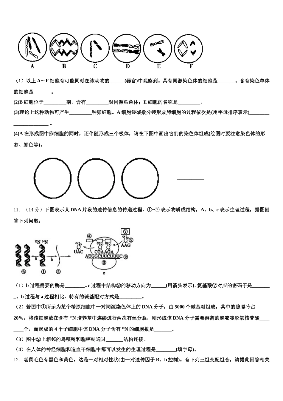 2025届河南省豫北名校联盟生物高一第二学期期末学业质量监测试题含解析_第3页