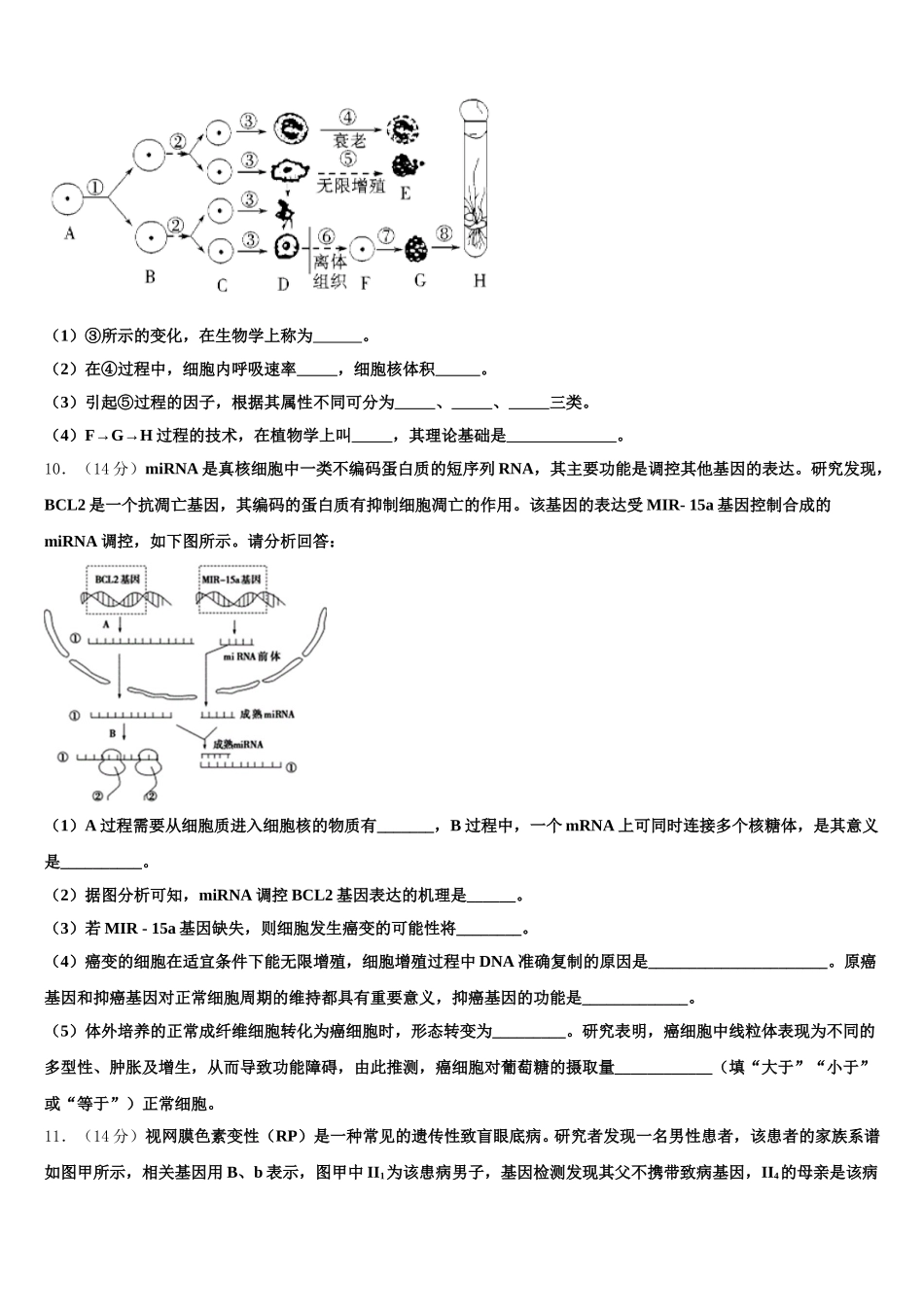 2025届河南省商丘市九校生物高一第二学期期末学业质量监测试题含解析_第3页