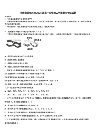 河南商丘市九校2025届高一生物第二学期期末考试试题含解析