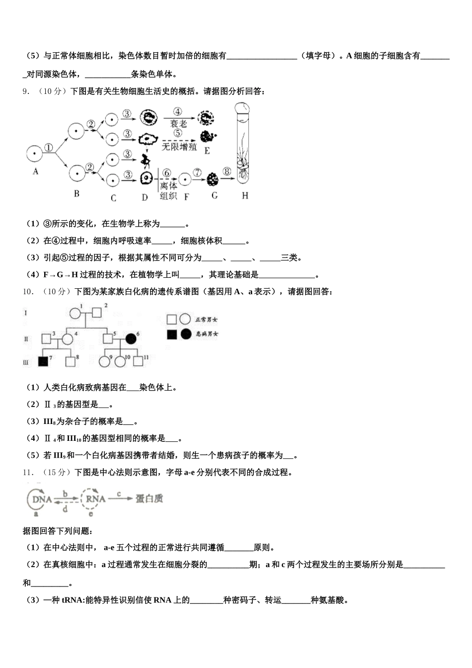 2025届河南省永城市高一生物第二学期期末教学质量检测试题含解析_第3页